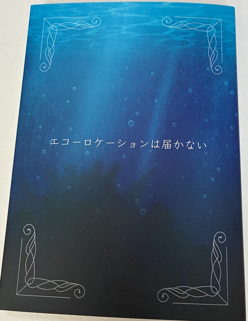 エコーロケーションは届かない