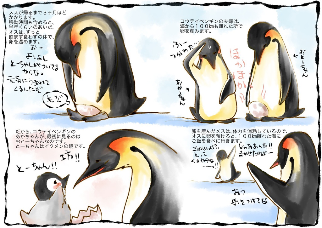 とーちゃんはイクメン コウテイペンギンのおはなし