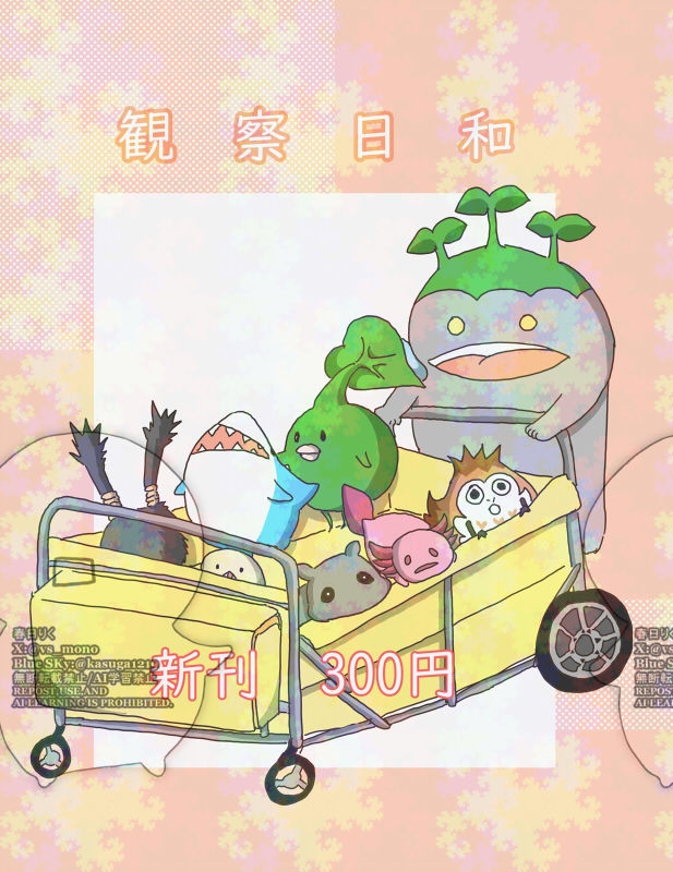 観察日和