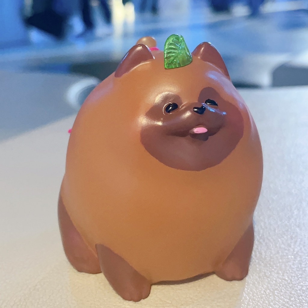 ヨーヨータヌキ