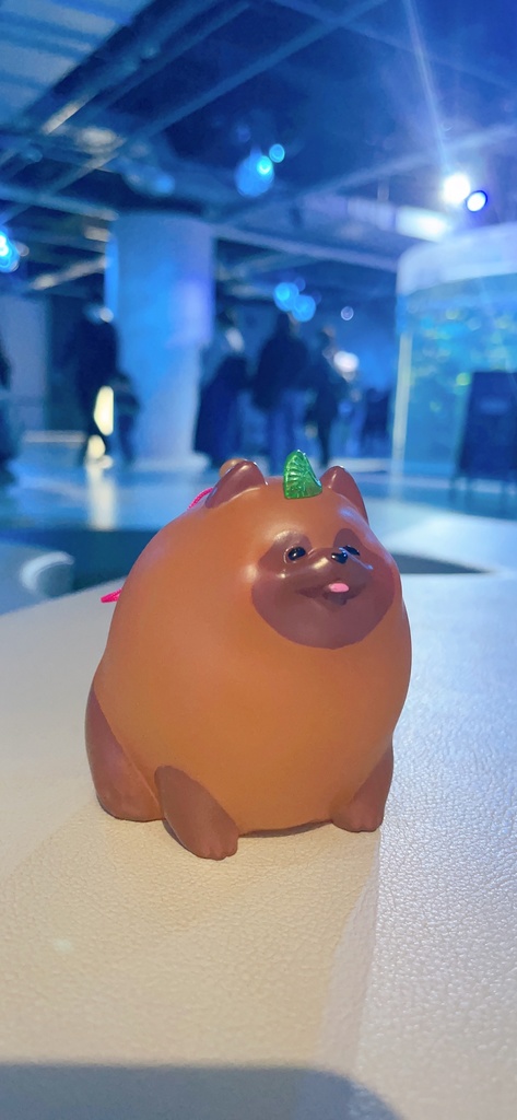 ヨーヨータヌキ