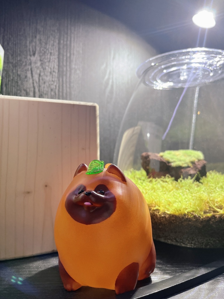 ヨーヨータヌキ