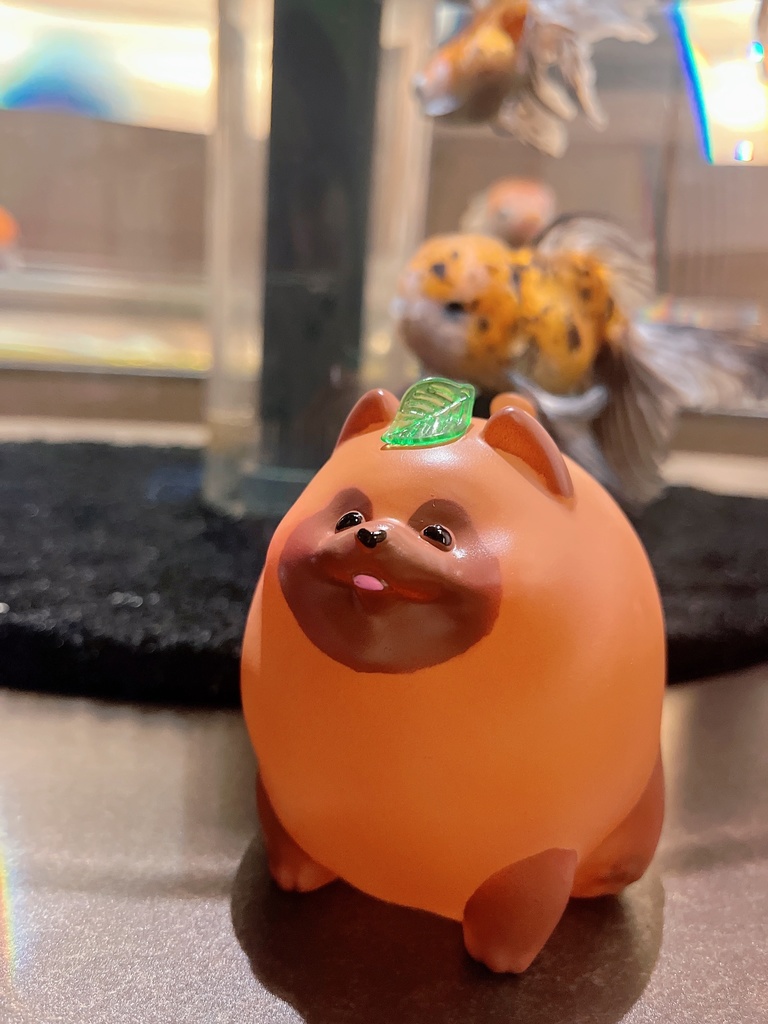 ヨーヨータヌキ