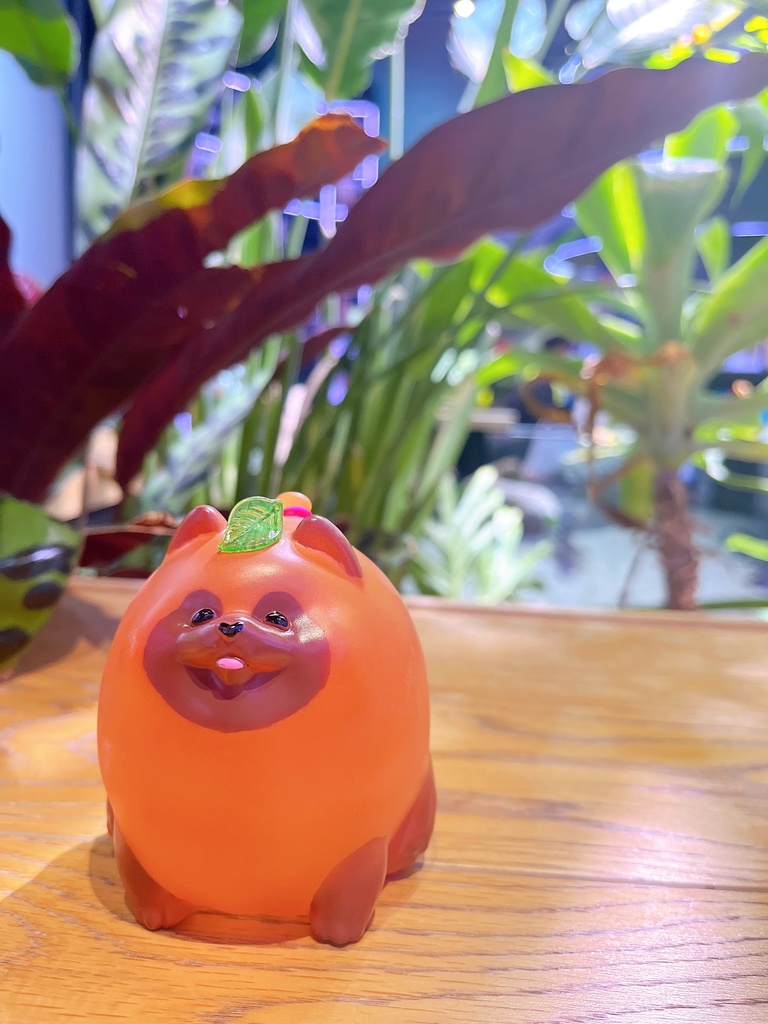 ヨーヨータヌキ