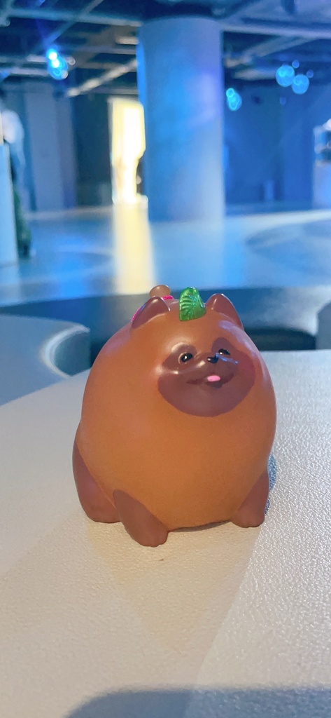 ヨーヨータヌキ