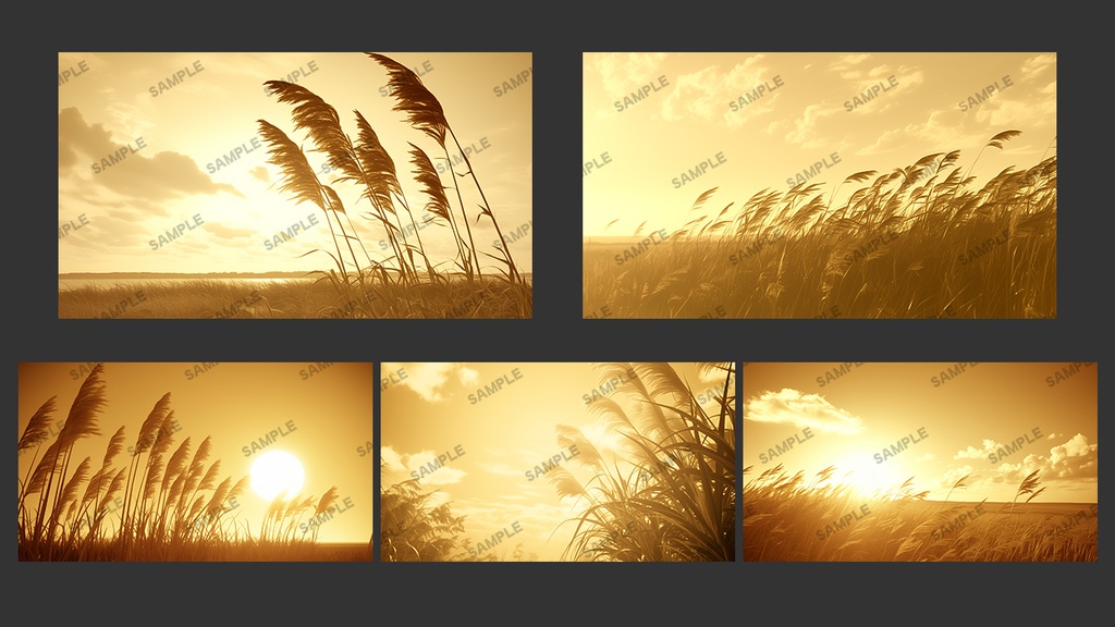 ススキ逆光ミニマル|秋の余白背景 5枚セット(16:9)|商用可