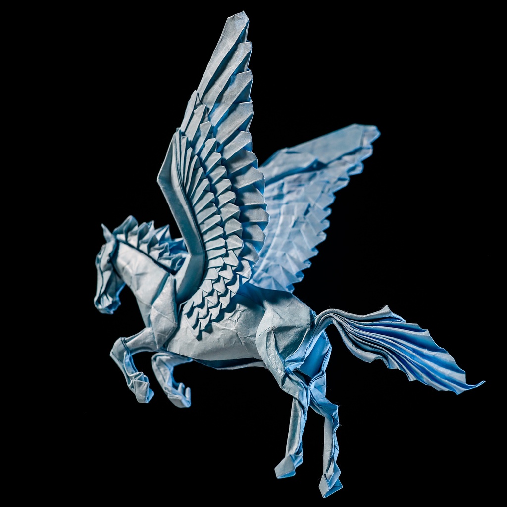 Pegasus 2025 CP