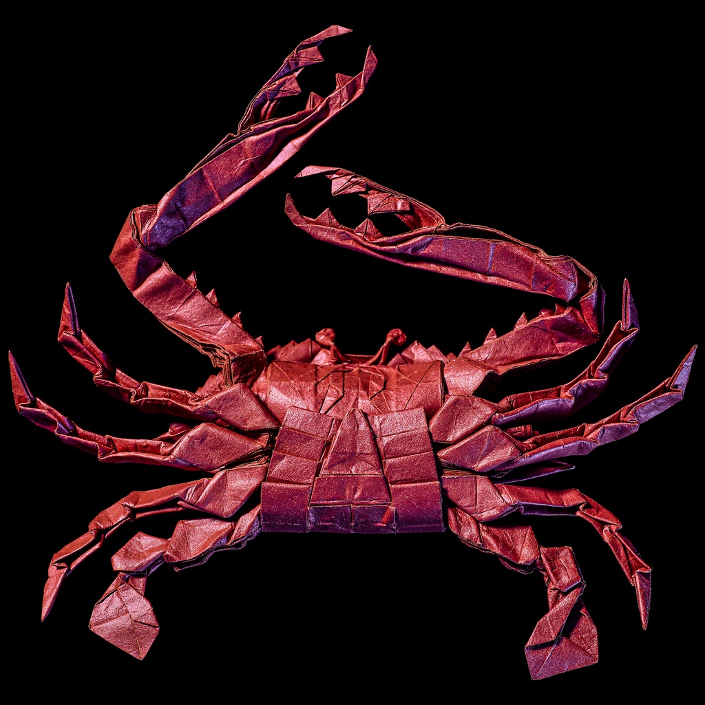 Gazami crab CP(Crease Pattern)