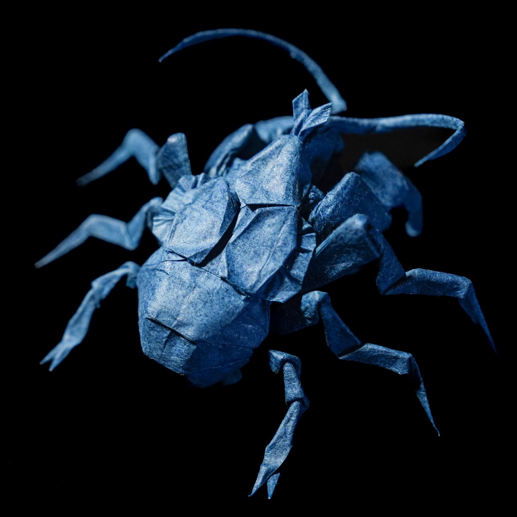 Coconut crab CP(Crease Pattern)