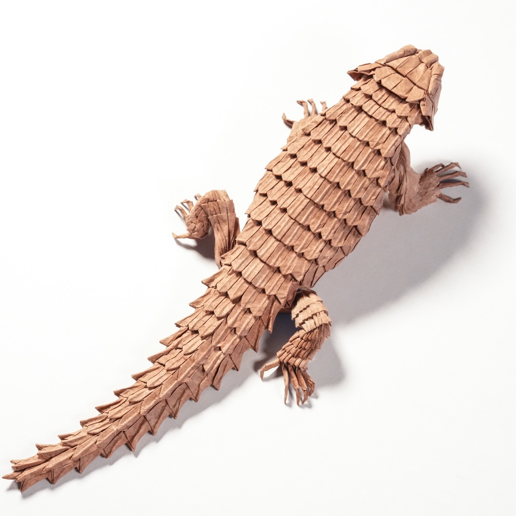 Armadillo girdled lizard CP(Crease Pattern)