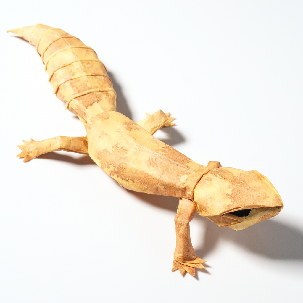 Leopard Gecko CP(Crease Pattern)