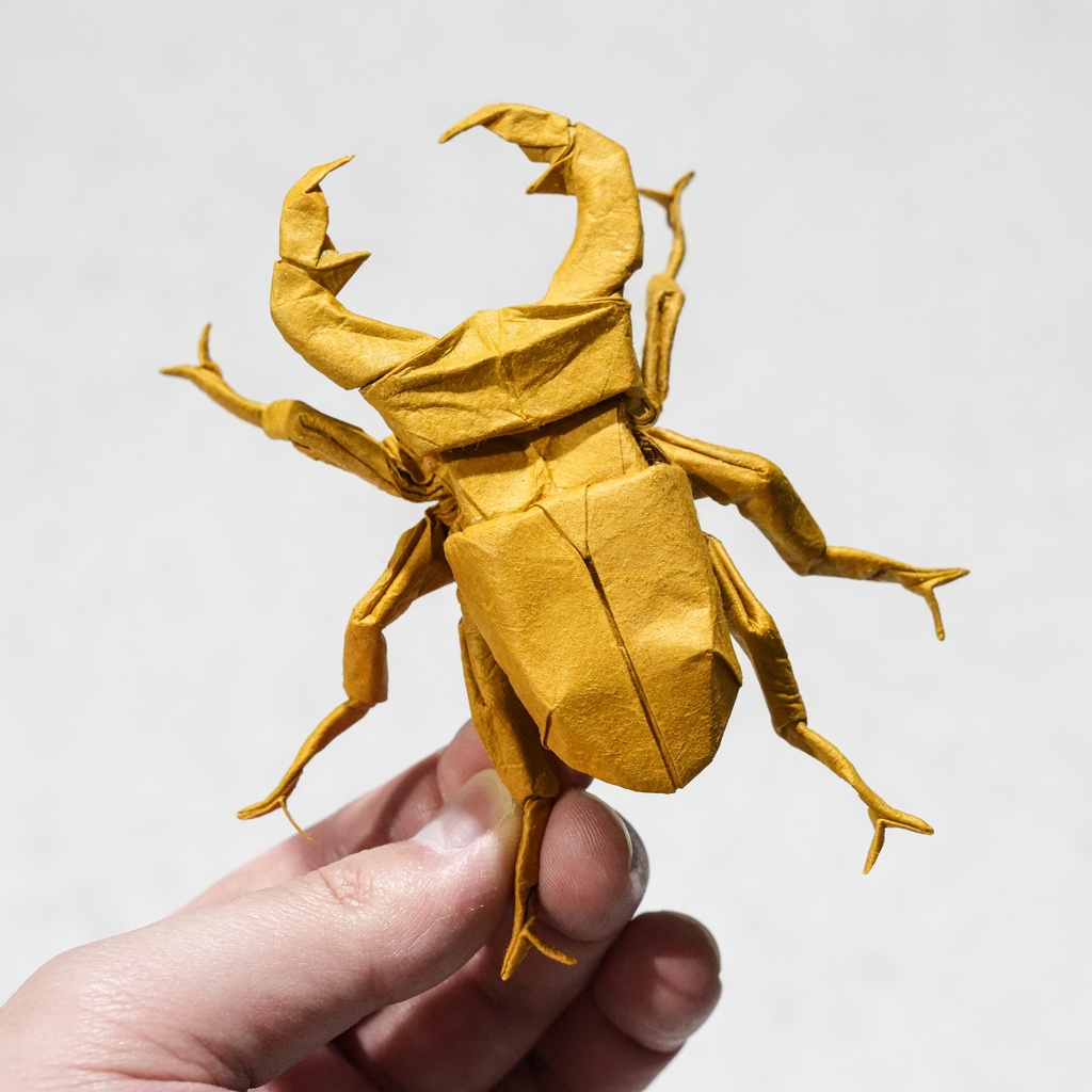 16grid stag beetle