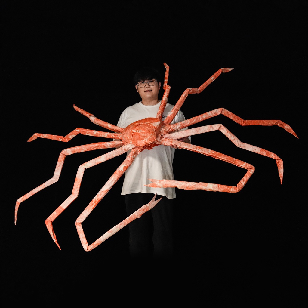 Japanese spider crab CP(Crease Pattern)
