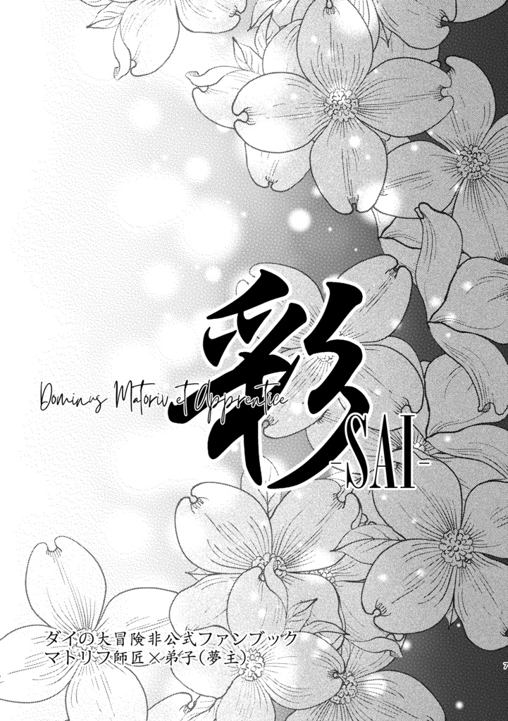 彩-SAI-〈マトリフ師匠×夢主〉