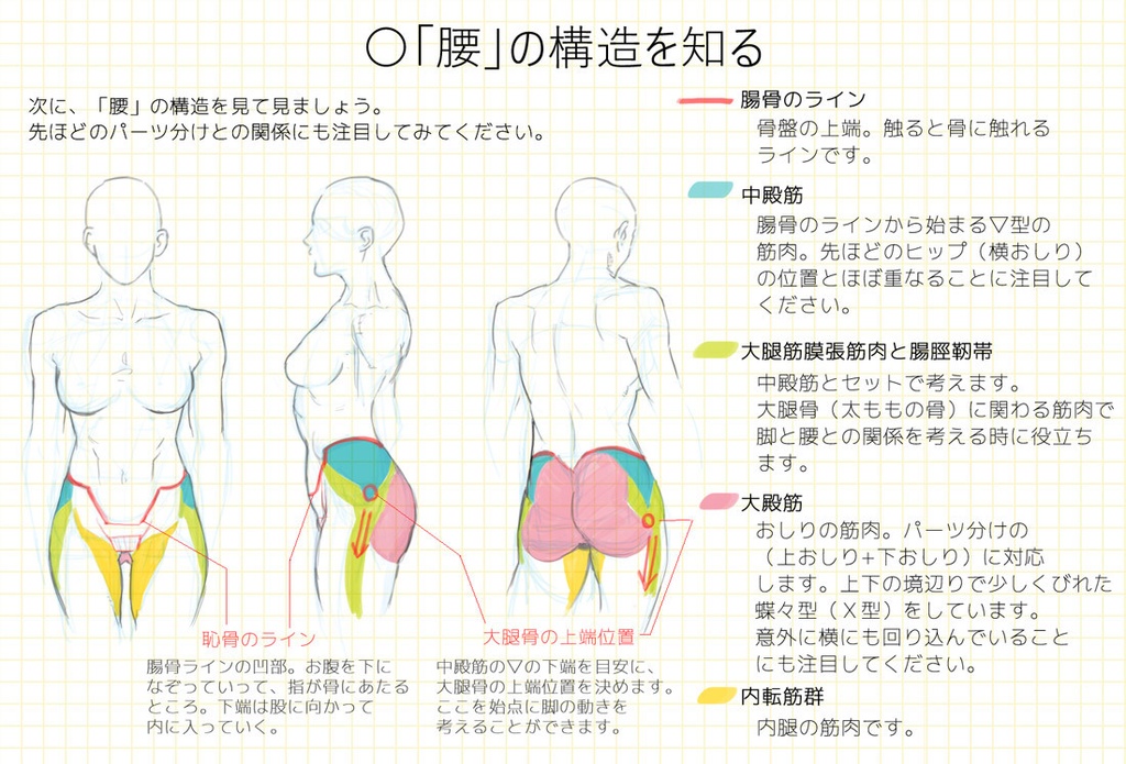 つながりを意識した腰の描き方