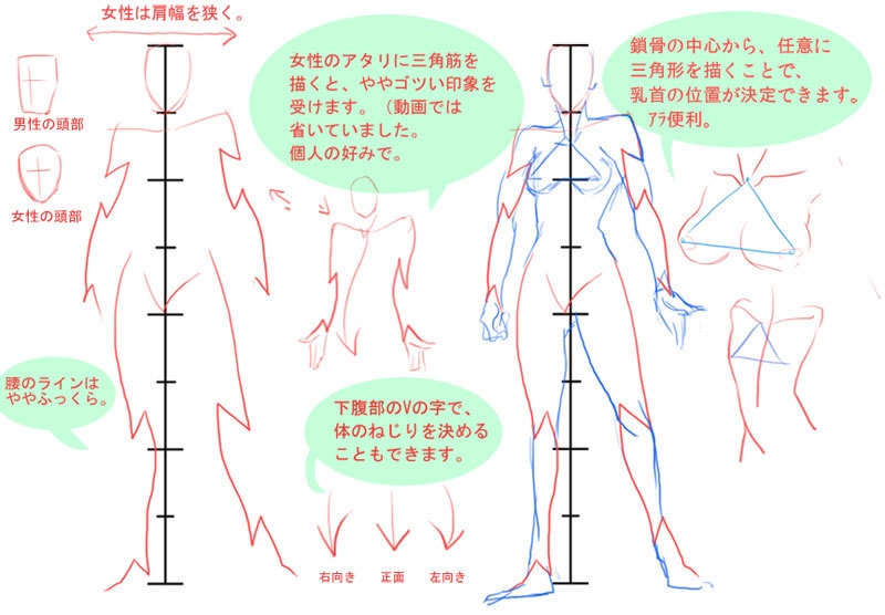 全身や腕・脚がうまく描けない人向け、稲妻型アタリ取りのすすめ