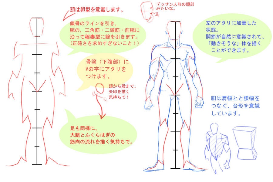 全身や腕・脚がうまく描けない人向け、稲妻型アタリ取りのすすめ