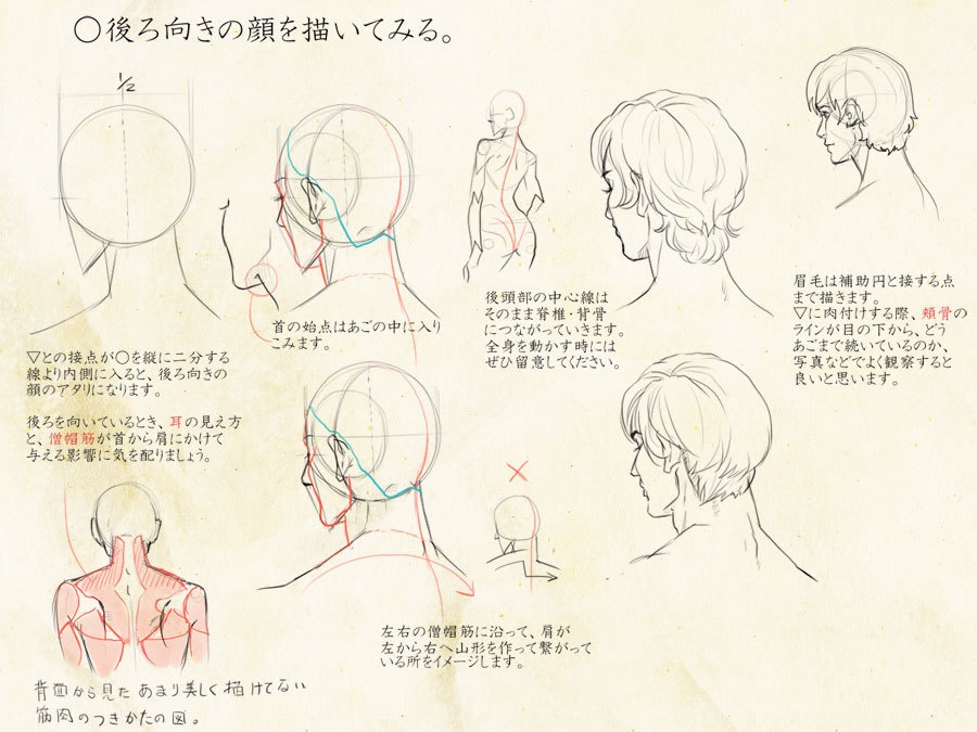 いろんな角度から描きやすい顔のアタリの描き方を考えてみました