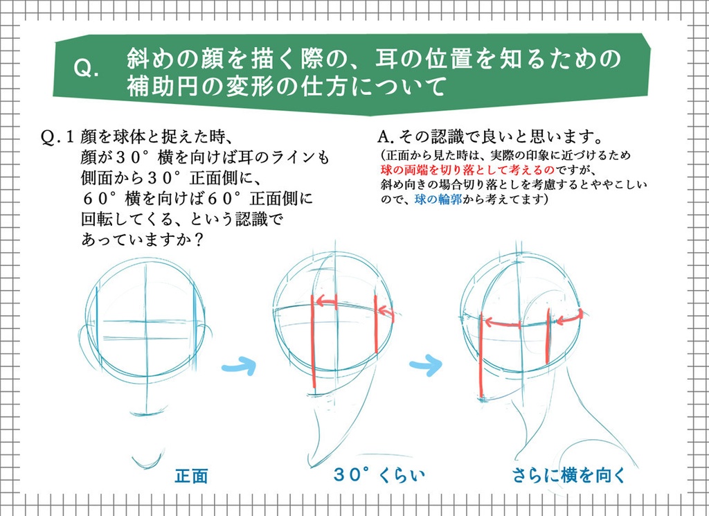 質問への回答と補足ー斜め顔を描く際のアタリ補助円の変形/正面から見た鼻の高低の描き分け