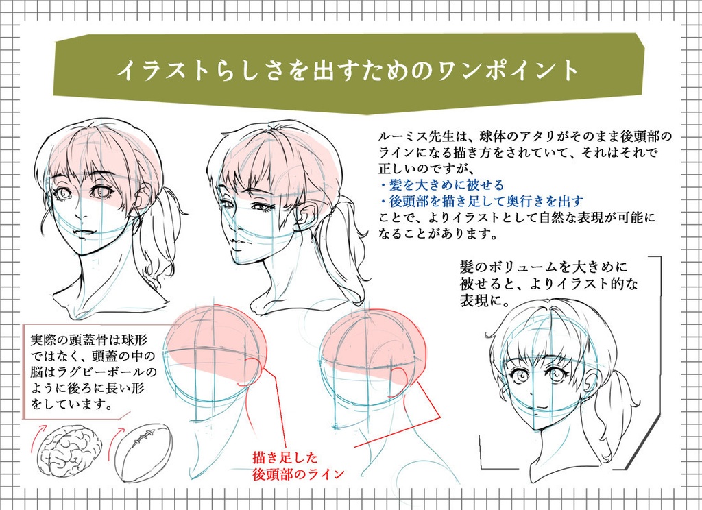 質問への回答と補足ー斜め顔を描く際のアタリ補助円の変形/正面から見た鼻の高低の描き分け