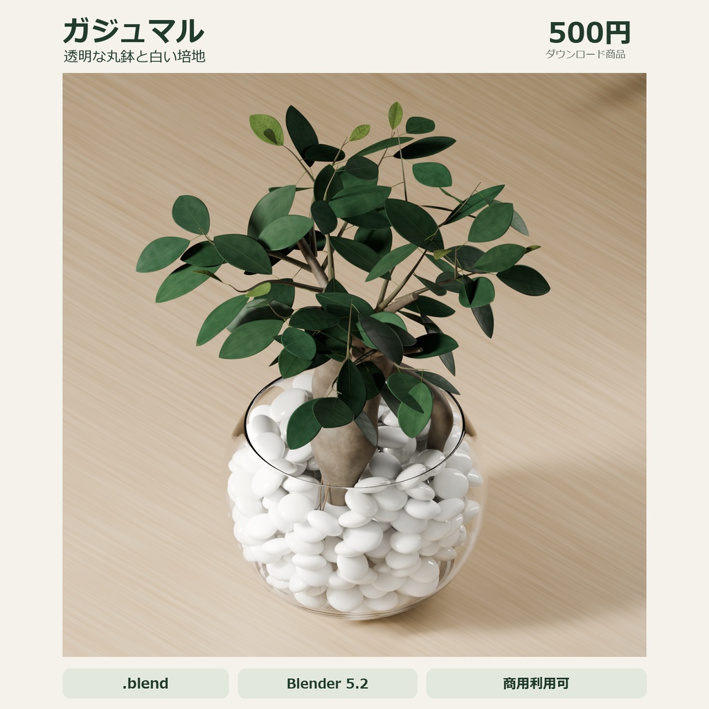 ガジュマル｜透明な丸鉢と白い培地【Blender / .blend】