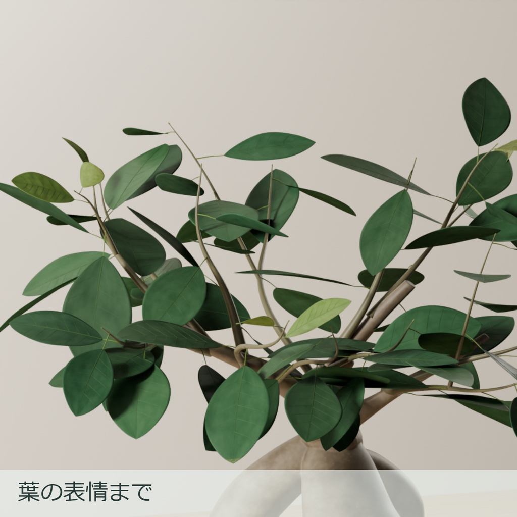 ガジュマル|透明な丸鉢と白い培地【Blender / .blend】