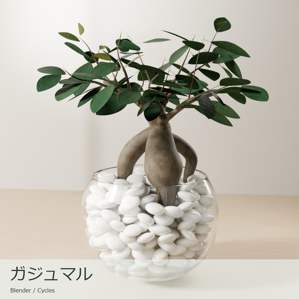 ガジュマル|透明な丸鉢と白い培地【Blender / .blend】