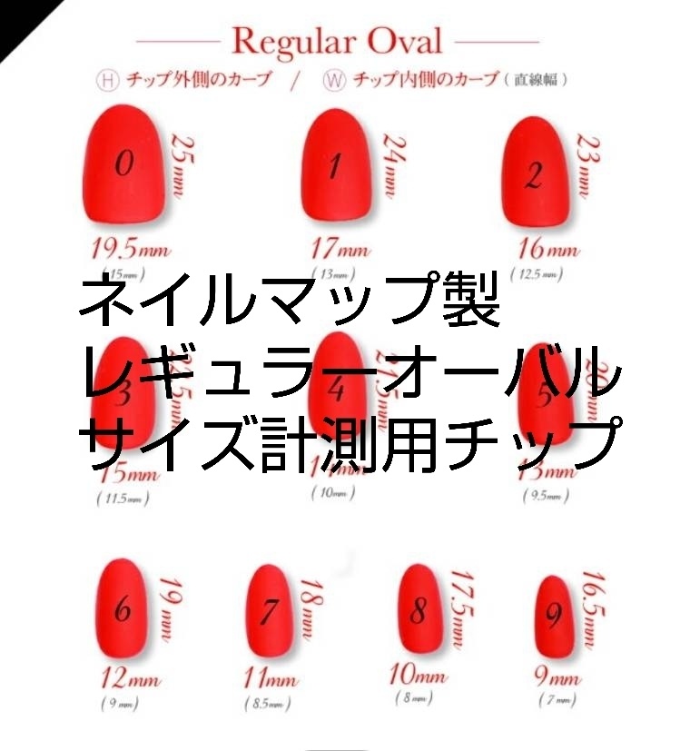 サイズ計測用 ネイルチップ レギュラー オーバル 