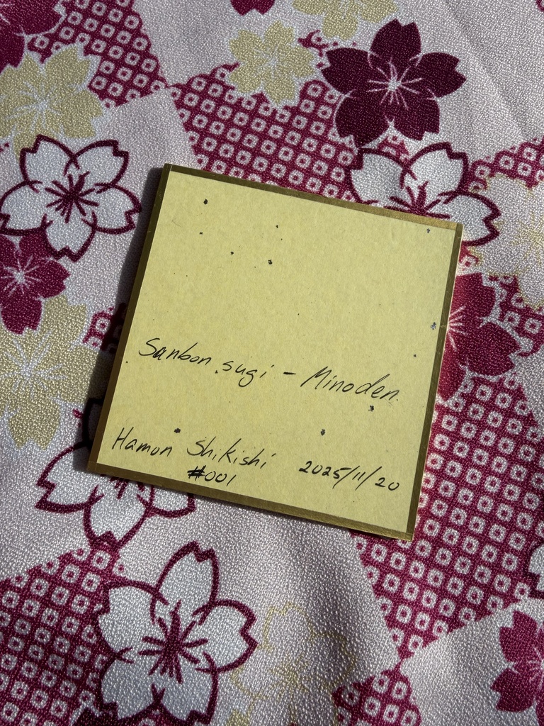 三本杉 豆色紙 75x75mm