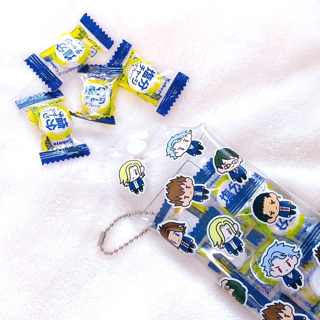 ときメモGS ミニマルチケース