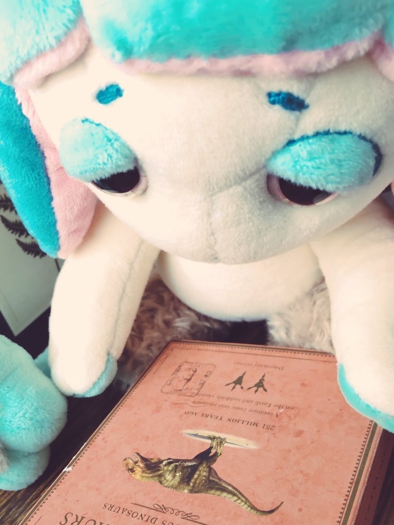 サボテンの妖精さん🌵