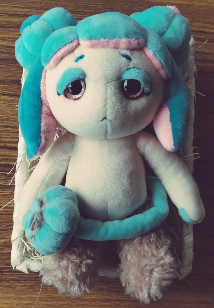 サボテンの妖精さん🌵