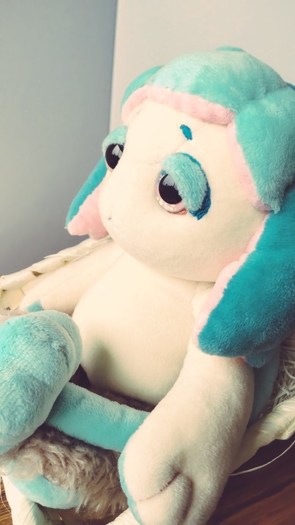 サボテンの妖精さん🌵