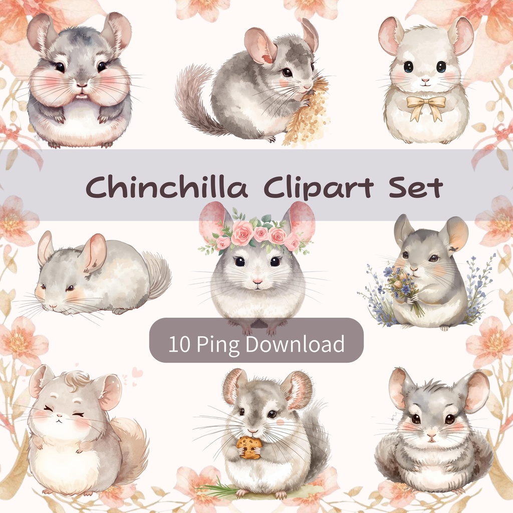 ゆるふわ水彩チンチラ｜クリップアート10点セット