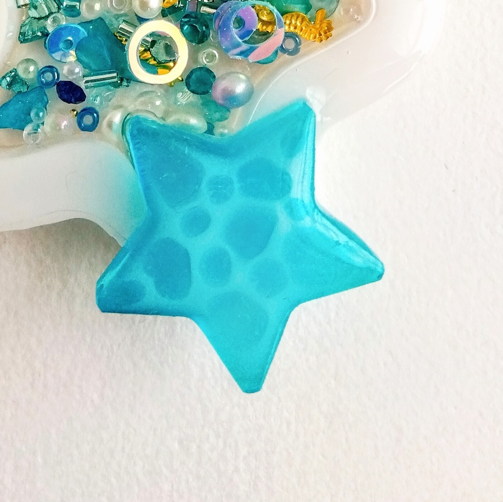 【匿名配送】マリンスターのキーホルダー