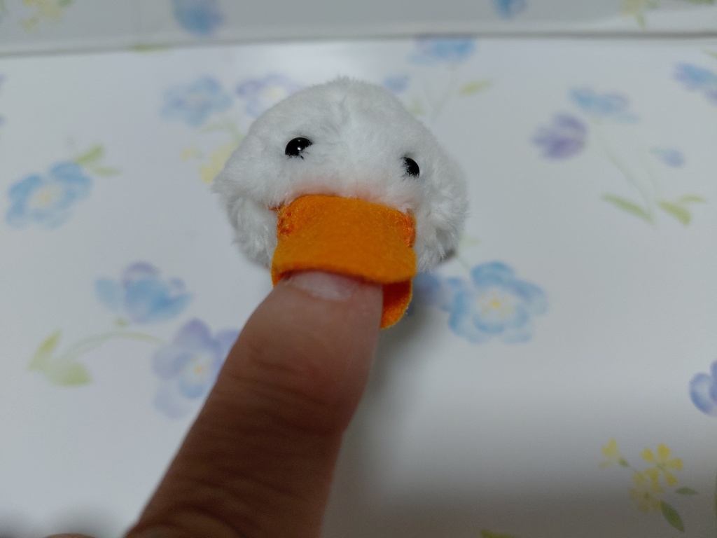 寝そべりアヒル