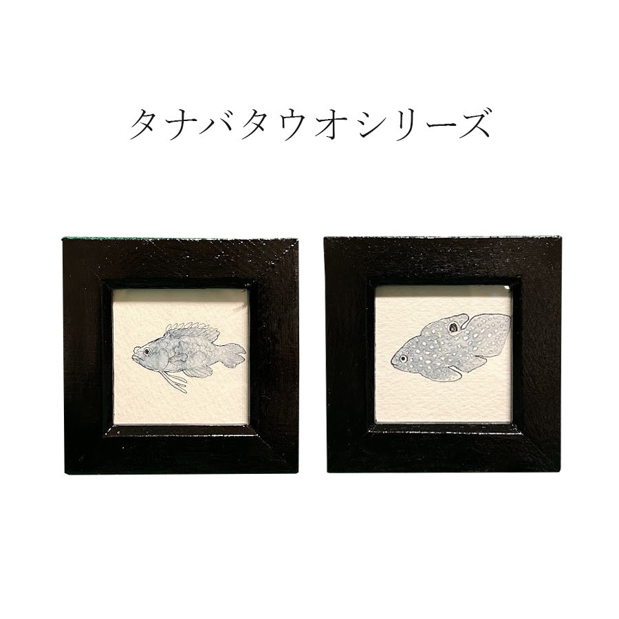 ミニ額装原画　タナバタウオシリーズ