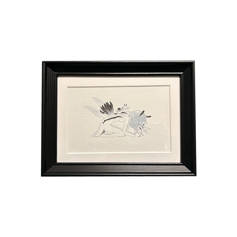 額装原画「ポリュケラ・ケープエンシス」