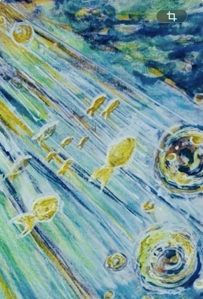 星の光達が照らす海