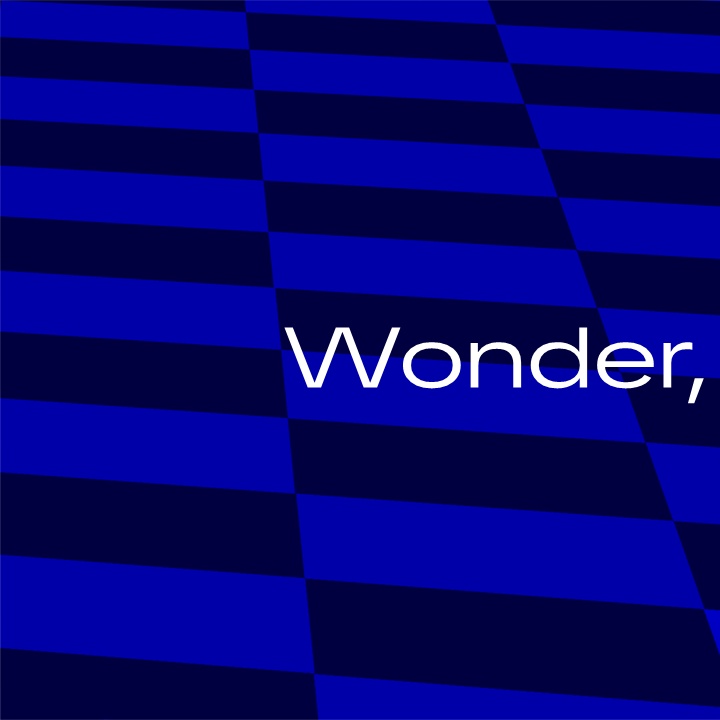 wonder,【クイズ問題集】