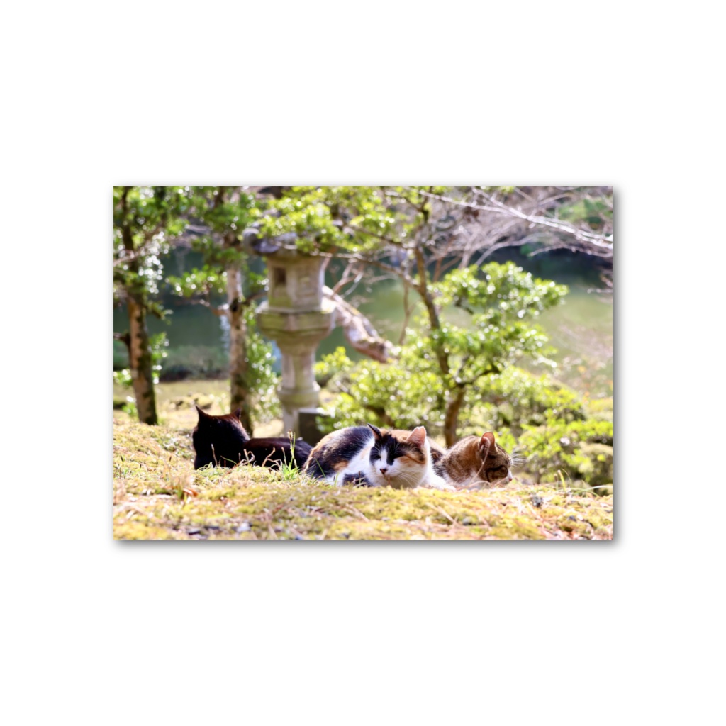 Lagom -「 ひと休み 」- フォト風カード