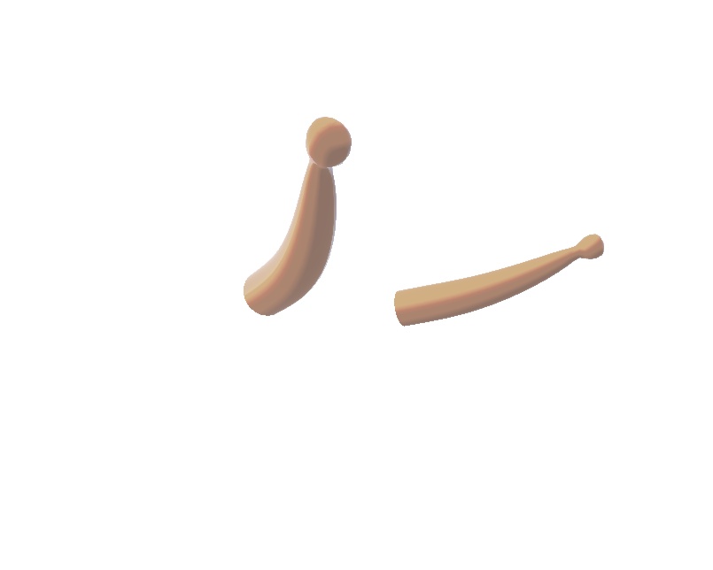 かたつむりのツノとしっぽ