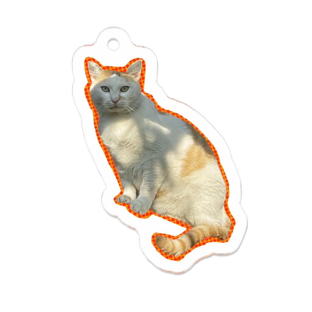 王者の猫