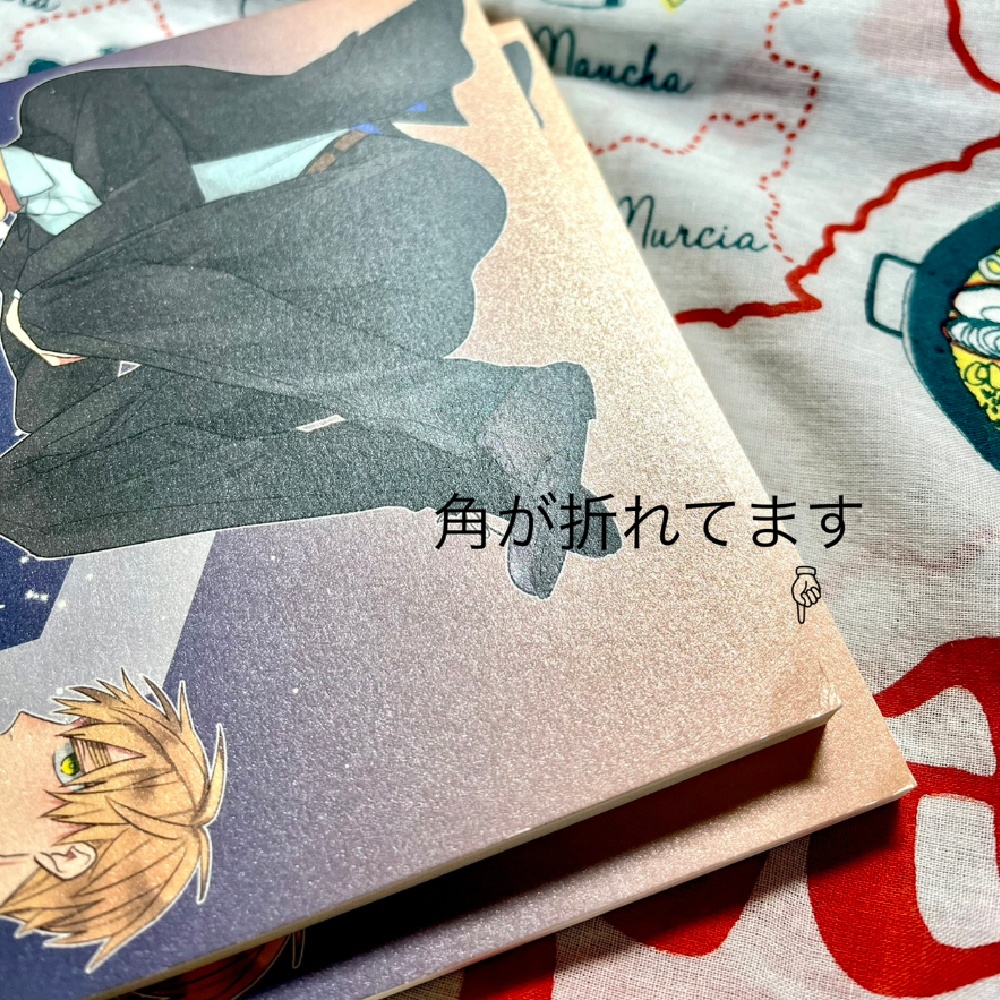 【角折れ】たとえ愛になれずとも【商品説明必読】