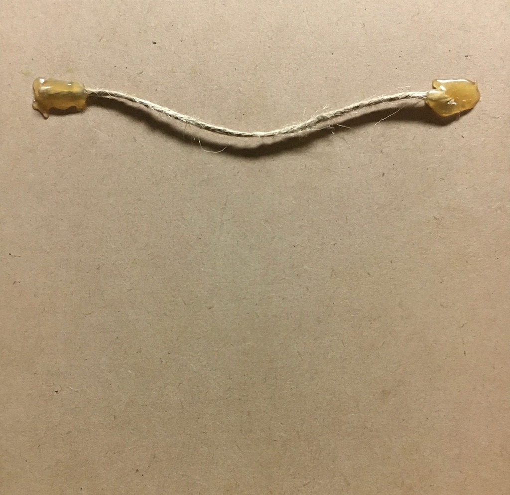 AMABIE (アマビエ)