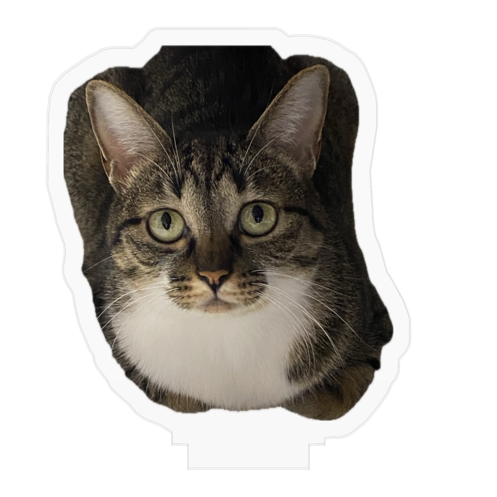 あずきのアクリルフィギュア