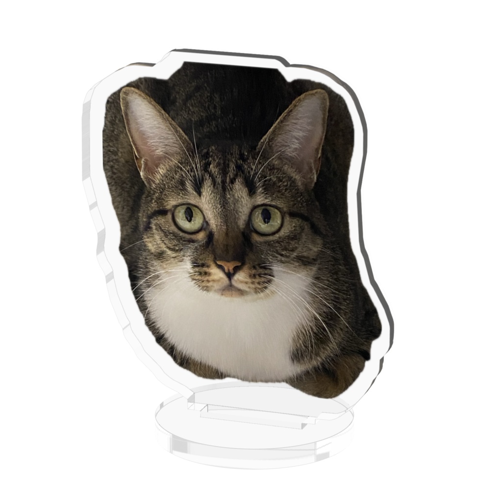 あずきのアクリルフィギュア