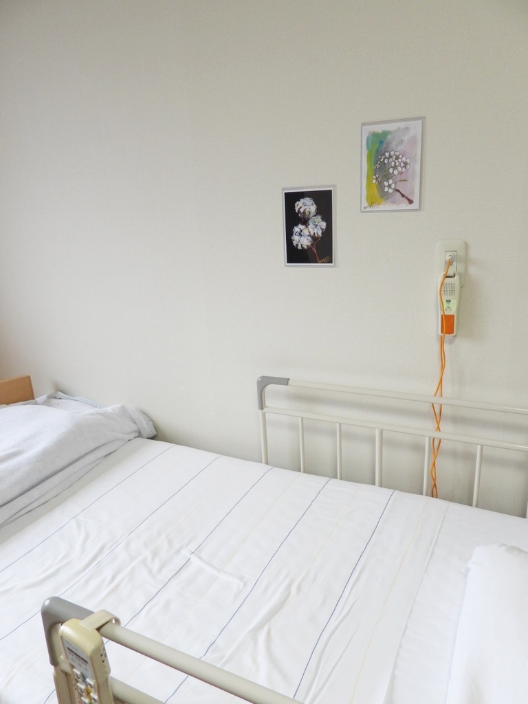 〔 Turbo argyrostomus 〕