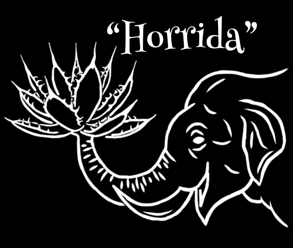“Horrida” アガベ パーカー