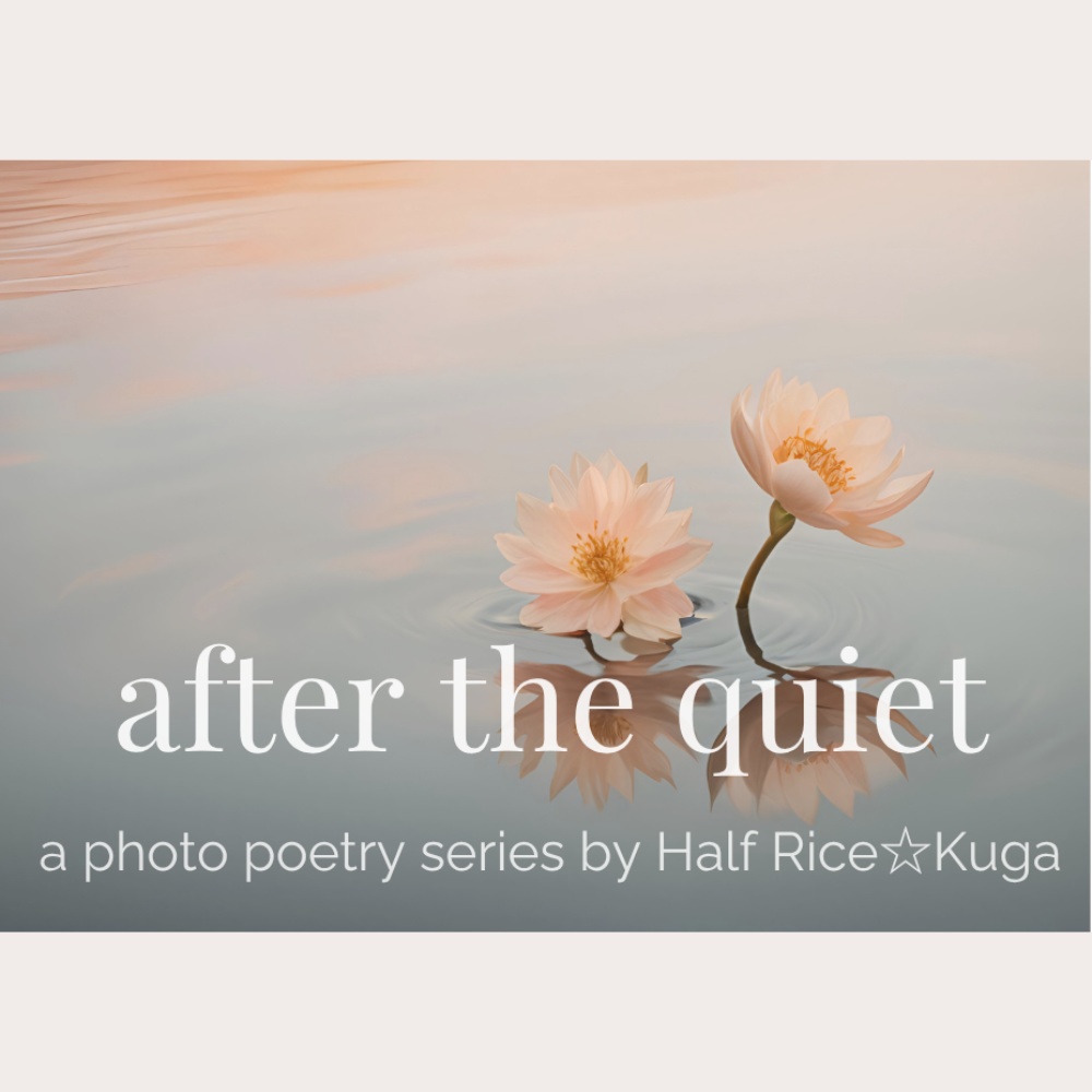 ①after the quiet － where light begins again